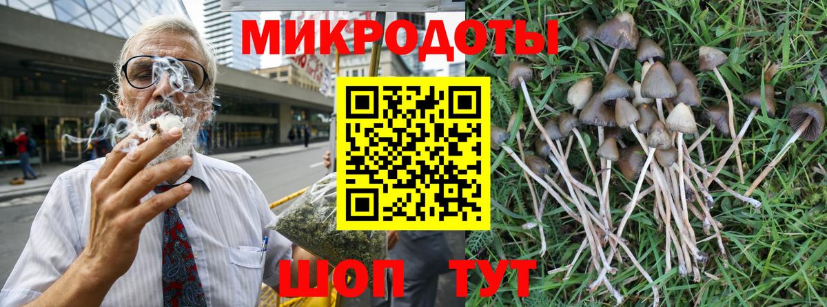 Псилоцибиновые грибы Psilocybe Ипатово