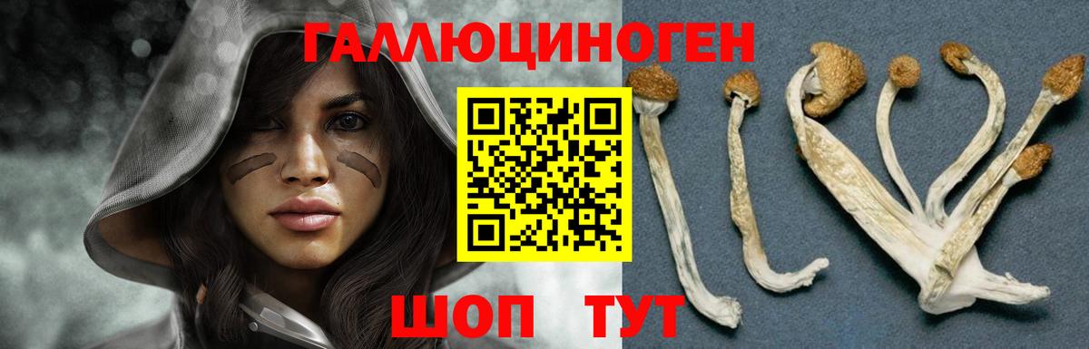купить  цена  Вход с VPN  Ипатово  Псилоцибиновые грибы Cubensis  Галлюциногенные грибы ЛСД 