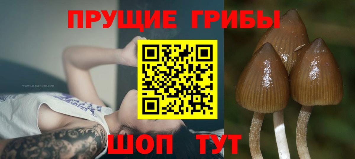 COCAIN  Alpha PVP СК кристаллы  Канабис  Меф кристаллы  Ипатово  Вход с VPN  ГАШ  Вейп ТГК 